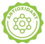 EUBIOTICA Super Teas - Green Tea & Ginseng panax - Πράσινο Τσάι για Ευεξία - Image 6