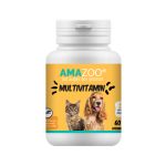 MULTIVITAMIN | 60 CAPS