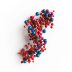 calmodulin isolated white background essential calciumbinding protein cellular function scaled 1