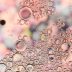 lucid bubbles defocused background scaled